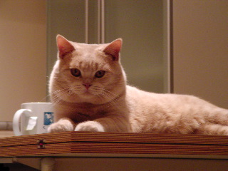 SANY0039.JPG