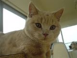 DSC01092